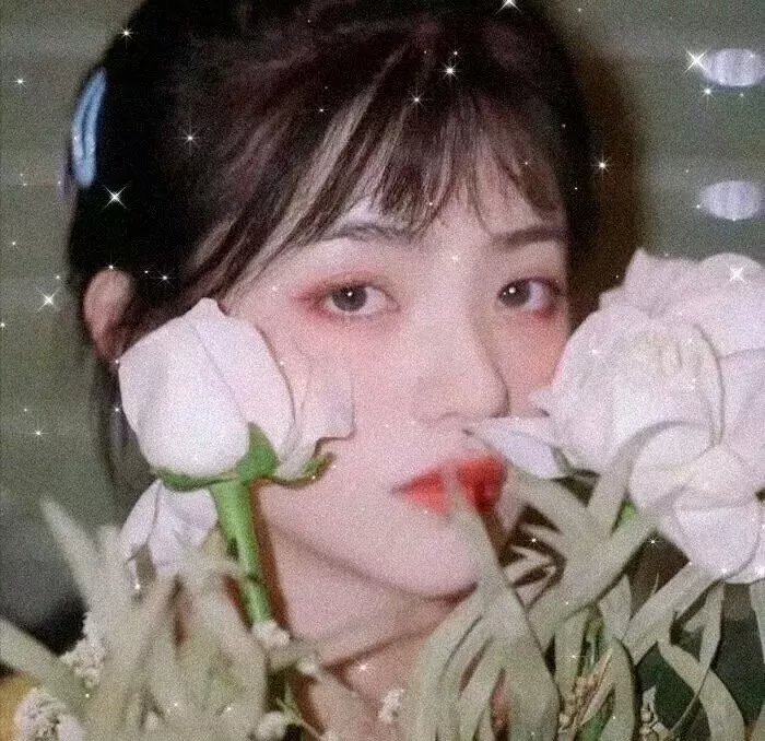 薄樱记