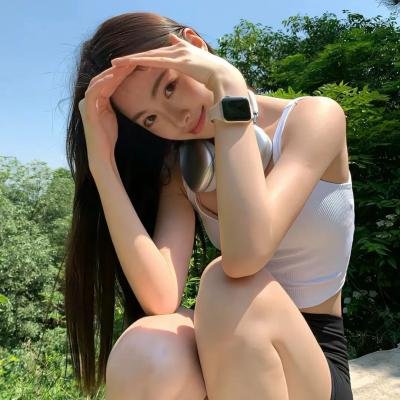 盗贼生涯
