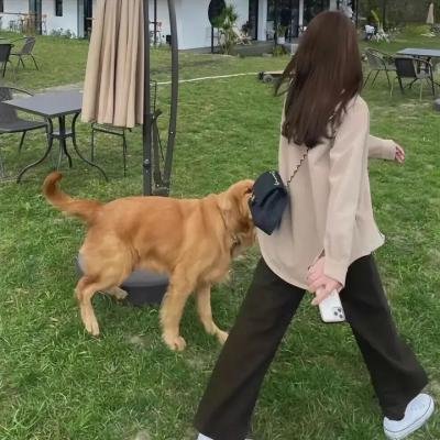 生而平等